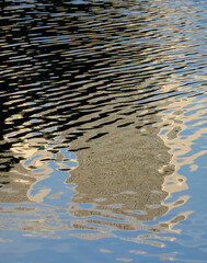 reflection in water