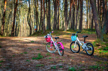 Fototapeta premium Childrens bikes on a path in the woods, Poland