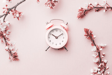 Sakura blossom flowers and may floral nature with alarm clock on pink. For banner, branches of...