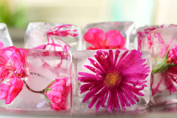 Ice cubes with frozen pink flowers for drinks