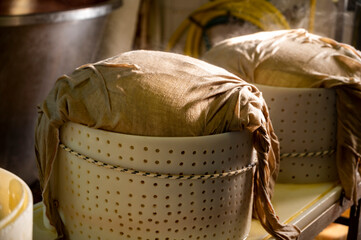Process of making wheels of parmigiano-reggiano parmesan cheese on small cheese farm in Parma, Italy