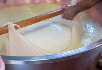 Process of making wheels of parmigiano-reggiano parmesan cheese on small cheese farm in Parma,...