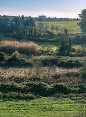 Obraz premium Vertical panorama of typical Italian countryside landscape in Caffarella Appian Way public park, an archeological site with ancient Roman ruins like the tomb of Caecilia Metella, Rome, Italy