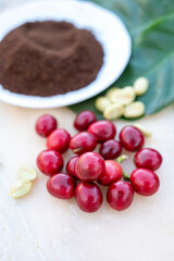 Red ripe arabica coffee berries, green coffee beands, leaves and roasted ground coffee in bowl