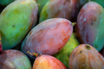 Fresh juicy green mango tropical fruits in box in grocery store.
