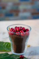 Red ripe arabica coffee berries, green coffee beands, leaves and roasted ground coffee in glass on marble table