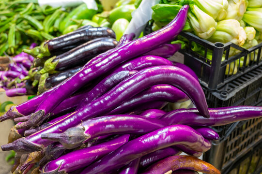 Sicilian long purple eggplants vegetables for sale at Itallian market
