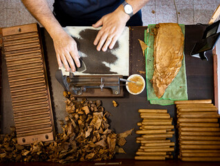 Hand made production of cigars from dried tobacco leaves, Garachico, Tenerife, Canary islands, Spain
