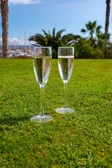 Celebration of championship with glasses of champagne bubbles wine on green lawn of golf club
