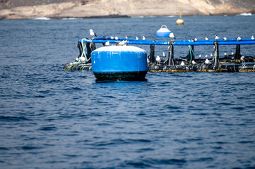 View on fisherman nets in Atlantic ocean near South coast of Tenerife island during sail boat trip...