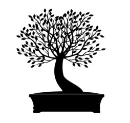 Black Bonsai Tree. Vector outline Illustration.