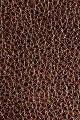 calfskin texture