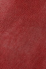 calfskin texture
