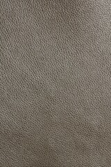 calfskin texture