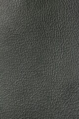 calfskin texture