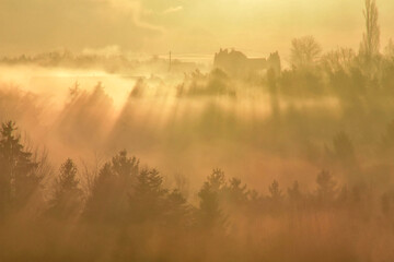Mystischer Tagesanbruch mit Nebel und Sonnenstrahlen