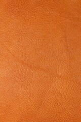calfskin texture