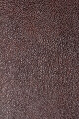 calfskin texture