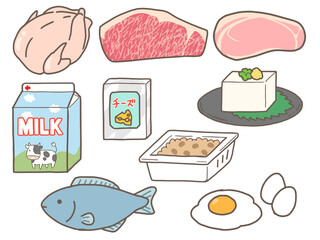タンパク質の食材のイラストセット(肉・魚・乳製品・豆製品・玉子)