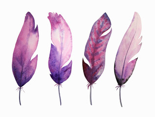 Purple and magenta watercolor feathers. Bird feathers are hand-drawn and isolated on a white background.