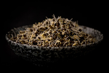 sprouted lentils on black background