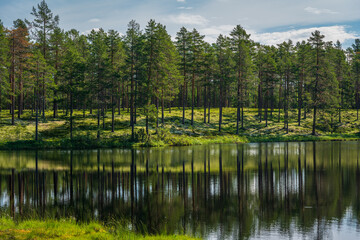 Beautiful view across a small tarn in a forest in Sweden