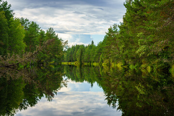 Fototapeta na wymiar Calm river flowing through a forest in Sweden