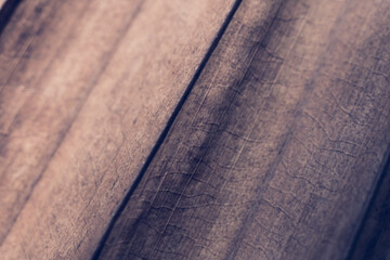 Macro shot Abstract Real beauty nature background. Dried tropical plant leaf surface texture structure detail diagonal vein line streak stripe. Simple design matte vintage dark light brown beige shade