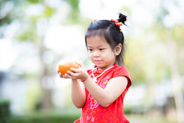 Portrait cute Asian kid girl holding oranges fruit. Chinese New Year concept. Child wear red qipao cheongsam. Children are 4 years old.