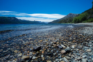 Coast beach lake in the forest	
