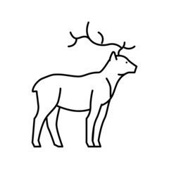 deer animal in zoo line icon vector illustration
