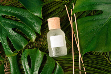 aroma reed diffuser home fragrance with rattan sticks on green background with palm tropical leaves and water drops - obrazy, fototapety, plakaty