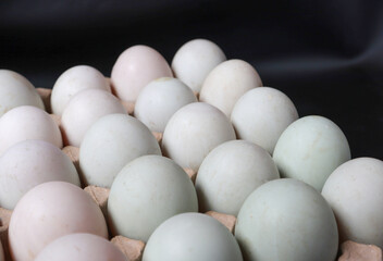Close up of Eggs white in paper tray on black background