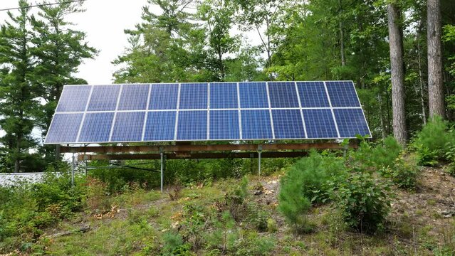 Solar panel array with forest background. Off the grid electricity.