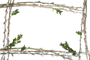 Frame made of beautiful pussy willow branches on white background