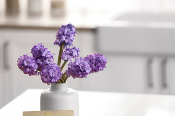 Vase with hyacinth flowers in kitchen, closeup
