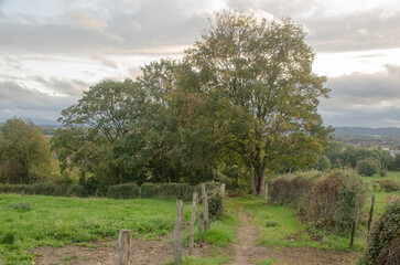 Aachen Eilendorf: Knopp