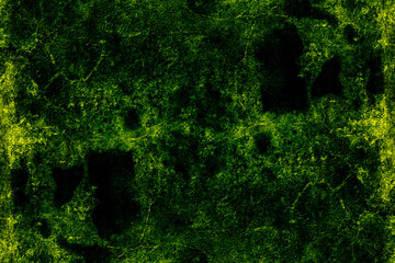 Shiny dark green artificial mosied old stone wall surface for texture background