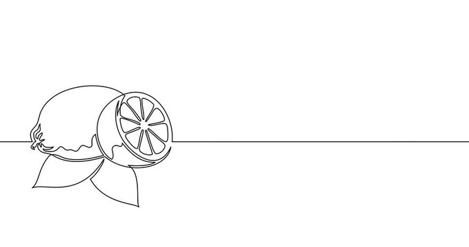 Animation of an image drawn with a continuous line. Lemon.