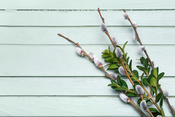 Plant branches and pussy willow on color wooden background, closeup