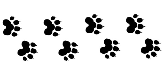 Fototapeta premium Leopard footprint path in black color. Vector wild cat silhouette steps