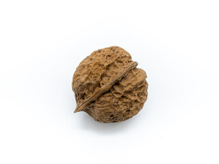 장식품으로 사용되는 자연산 호두