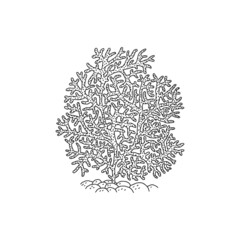 Coral. Vector coralline reef ocean animal underwater life doodle black white line isolated illustration.