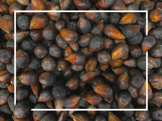 snakefruit. salak Abstract background of snakefruit salak with white frame for creative background