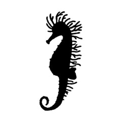 Fototapeta premium Seahorse. Vector silhouette wild ocean animal underwater life doodle isolated illustration.