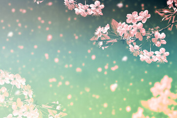 Obraz na płótnie Canvas Blossoming branch cherry. Bright colorful spring flowers