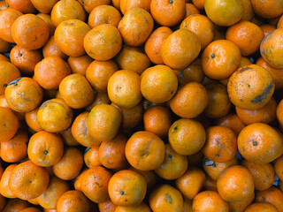Fresh Oranges fruit