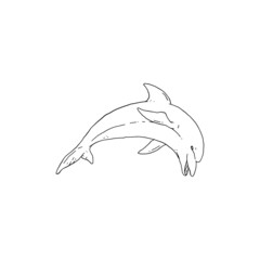 Dolphin jumping playful aquatic animal black white sketch line doodle vector Illustration.
