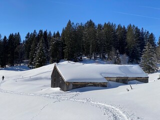 Fototapeta na wymiar Indigenous alpine huts and wooden cattle stables on Swiss pastures covered with fresh white snow cover, Alt St. Johann - Obertoggenburg, Switzerland (Schweiz)