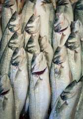 Fresh fish at fish market